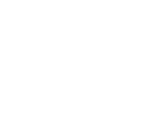 WAN 31